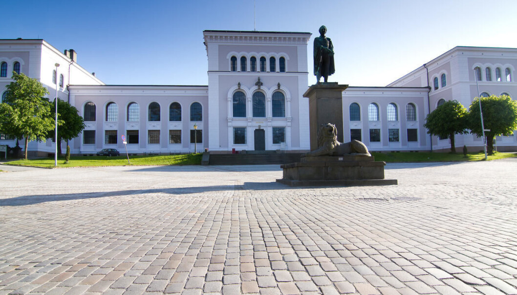 De naturhistoriske samlinger, Universitetsmuseet i Bergen De naturhistoriske samlinger, Universitetsmuseet i Bergen