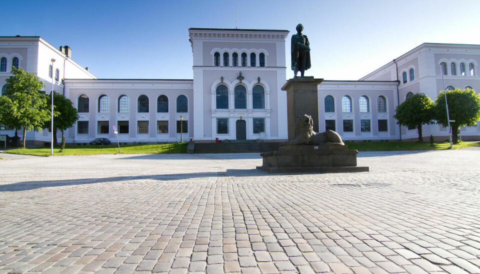 De naturhistoriske samlinger, Universitetsmuseet i Bergen