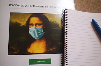 Torsdagsbildet: Mona Lisa i pandemiens tid
