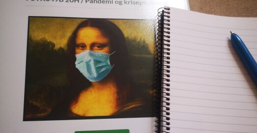 Torsdagsbildet: Mona Lisa i pandemiens tid