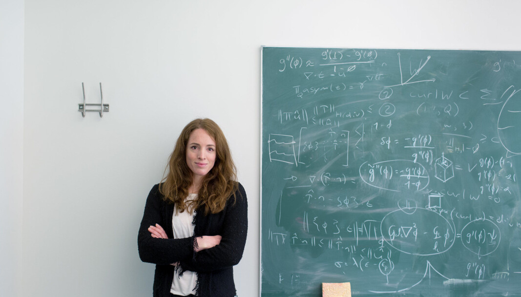 Professor Inga Berre Professor Inga Berre