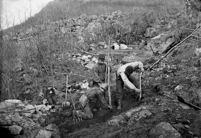 «Part fra Hardanger»: Frukttreplanting i samteig på Tokheim, 1872. «Part fra Hardanger»: Frukttreplanting i samteig på Tokheim, 1872.