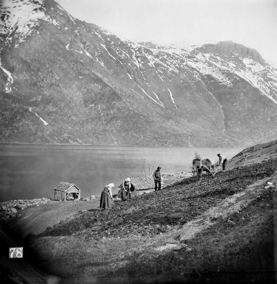 Små menneske i stort landskap, «Aanarbeide i Hardanger», fotografert av Knud Knudsen på Tokheim i 1864. Billedsamlingen UBB.