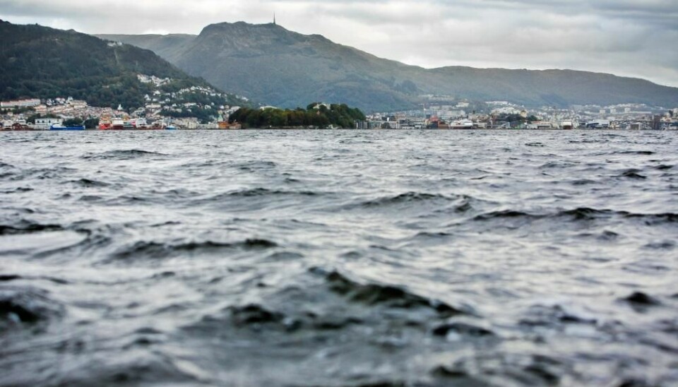 11. november er det klart for Ocean Sustainability Bergen Conference 2020.