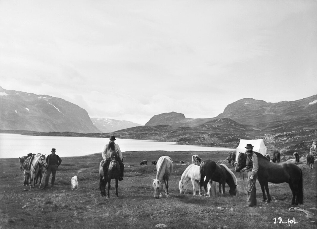 Feltarbeid i Vivasdalen på Hardangervidda i 1900. Feltarbeid i Vivasdalen på Hardangervidda i 1900.