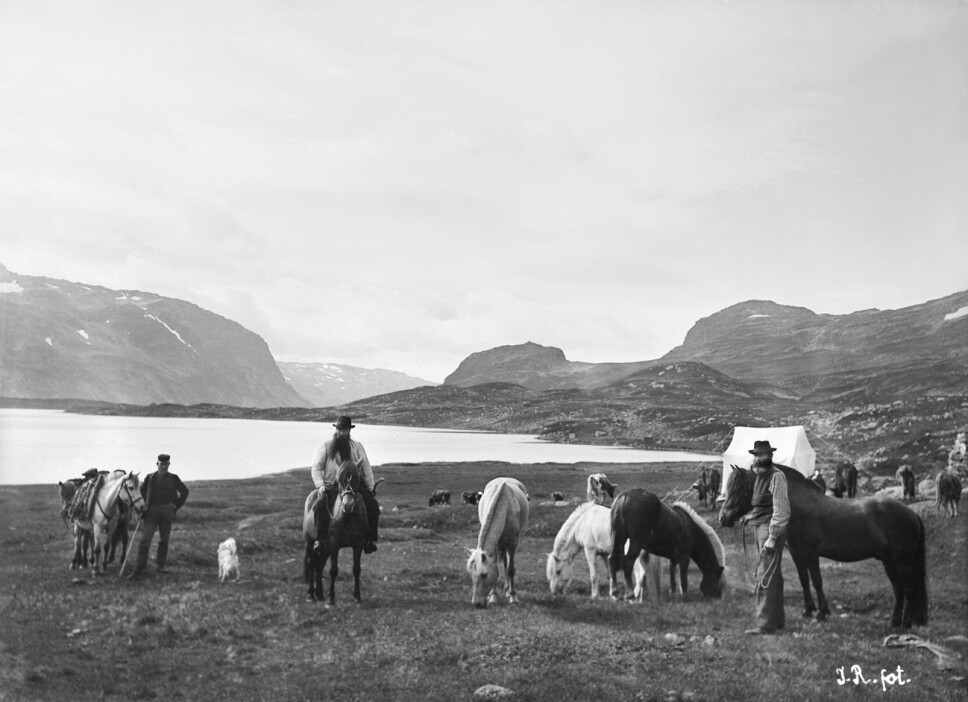 Feltarbeid i Vivasdalen på Hardangervidda i 1900.