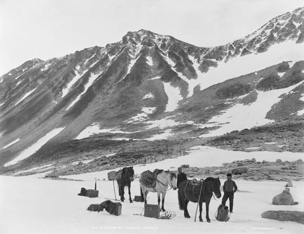 Heilstuguhø fra Uladal, Jotunheim (UBB-KK-2127-1518). Heilstuguhø fra Uladal, Jotunheim (UBB-KK-2127-1518).