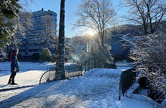 Torsdagsbildet: Slik blir februarvêret i Bergen
