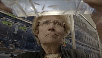 MIT biologist Nancy Hopkins, who led a movement for change for women within academia, is featured in the new independent film Picture a Scientist.Click to add image caption MIT biologist Nancy Hopkins, who led a movement for change for women within academia, is featured in the new independent film Picture a Scientist.Click to add image caption