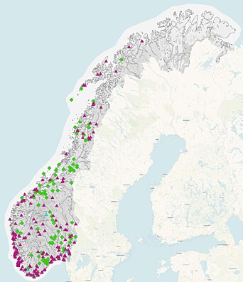 Noregskartet, punktkart med religiøse stadnamn. Helvete-stadnamna er merkte med grøn firkant, Himmerike-døma med blå trekant og Paradis-namna med lilla trekant. Noregskartet, punktkart med religiøse stadnamn. Helvete-stadnamna er merkte med grøn firkant, Himmerike-døma med blå trekant og Paradis-namna med lilla trekant.