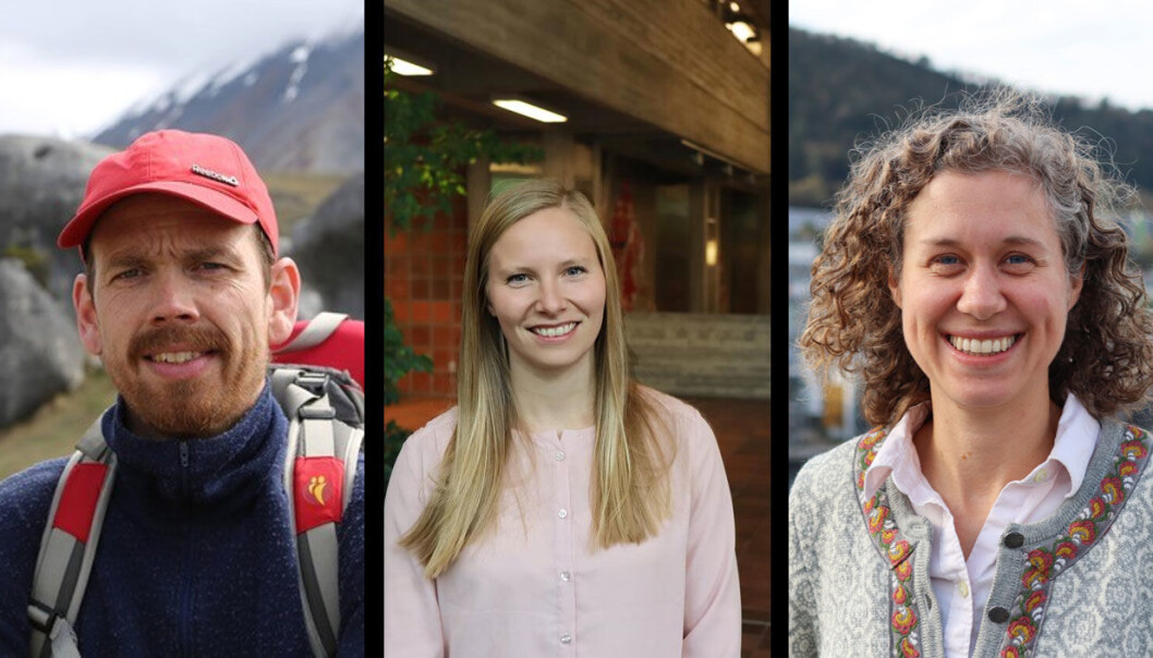 Professor Atle Rotevatn, stipendiat Ragnhild Gya og forsker Dorothy Dankel. Professor Atle Rotevatn, stipendiat Ragnhild Gya og forsker Dorothy Dankel.
