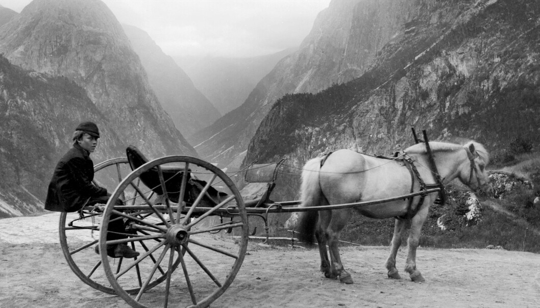 Kariol, Stalheim ca. 1895, fotograf Knud Knudsen (UBB-KK-1622-08831) Kariol, Stalheim ca. 1895, fotograf Knud Knudsen (UBB-KK-1622-08831)