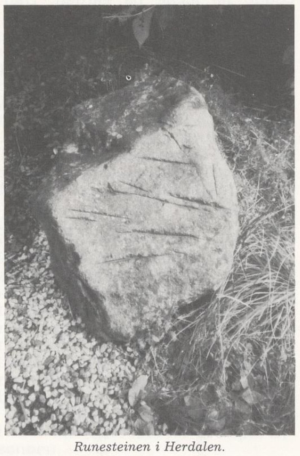 Den såkalla runesteinen frå Raunesteinslia. © Oddleif Lian, Lyngdal 3, 1986.