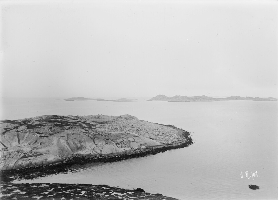 Strandvold paa Haløen ved Søla (Ved Vega), 1913. Foto: John Bernhard Rekstad (ubb-jr-181-005). Billedsamlingen, UB Bergen.