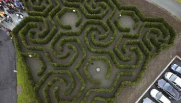 Arkimedes' labyrint