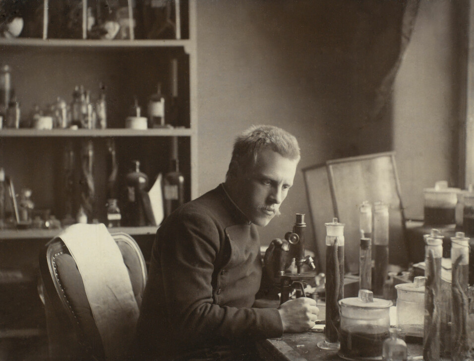 En ung Fridtjof Nansen over mikroskopet ved Bergens Museum. Foto: Johan v. d. Fehr (UBB-BS-FOL-00410).