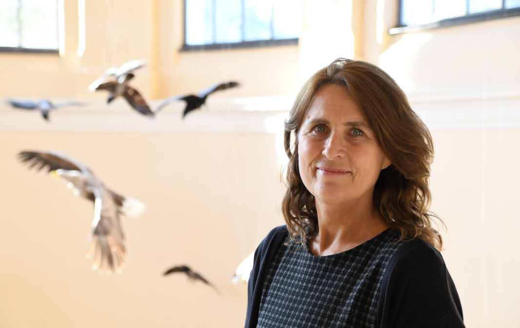 ÅPEN DAG: Bente Krossøy gleder seg mest til å åpne opp museet og Universitetsaulaen til Bergens befolkning den 30. oktober. ÅPEN DAG: Bente Krossøy gleder seg mest til å åpne opp museet og Universitetsaulaen til Bergens befolkning den 30. oktober.