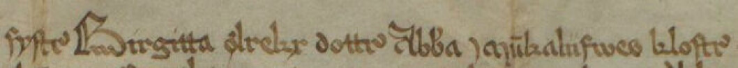 Første linjen i diplomet fra 1495 tilkjennegir avsenderen som Abbedisse Birgitte i Munkeliv kloster. Første linjen i diplomet fra 1495 tilkjennegir avsenderen som Abbedisse Birgitte i Munkeliv kloster.