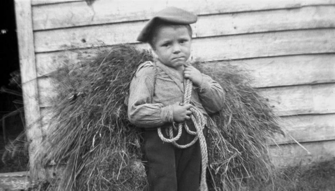Liten gutt med høybør. Muligens fra Kleppestø, 1905. Fotograf: Oscar Hansen.