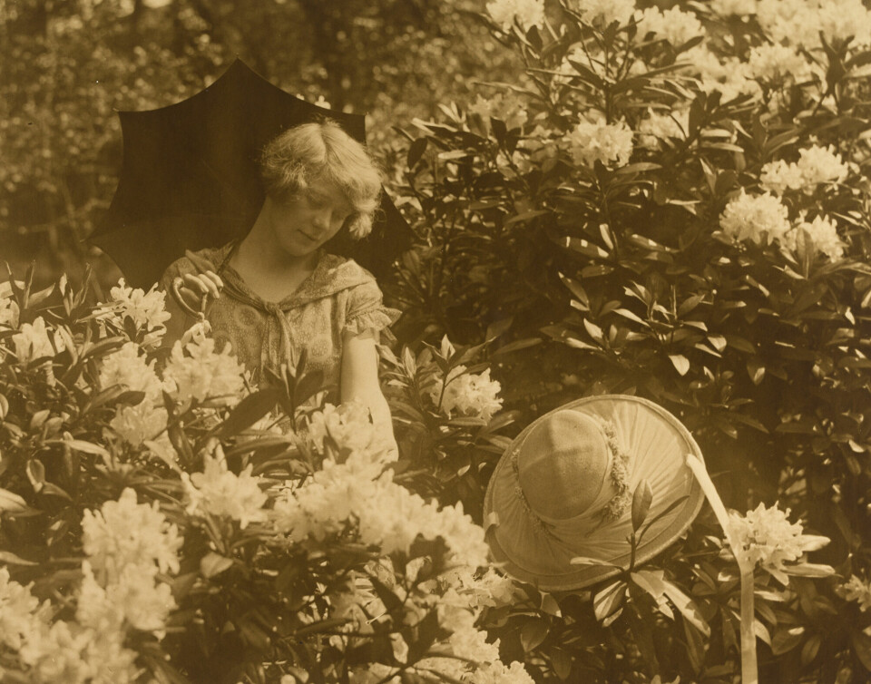 Utsnitt, «Edna i haven mellom blomster». Ralph Lindequist Wilson. 1926. Gummitrykk.