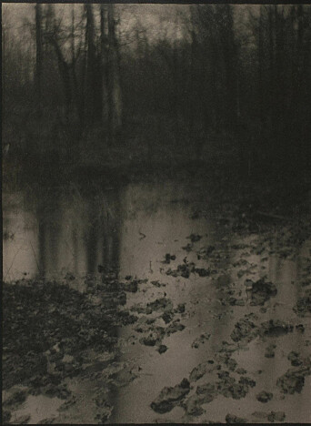 “The pool”. Edward Steichen. 1903. Photogravure.
