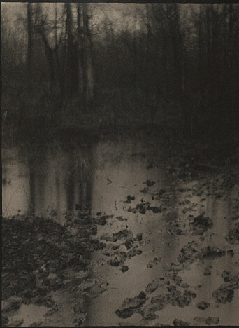 “The pool”. Edward Steichen. 1903. Photogravure. “The pool”. Edward Steichen. 1903. Photogravure.