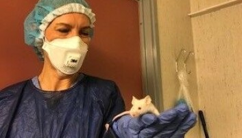 Helen Eikseth Otterå Helen Eikseth Otterå