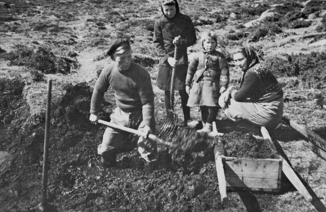 Torvtaking i Øygarden fotografert av Gerhard Garatun-Tjeldstø på begynnelsen av 1940-tallet (ubb-bs-ok-15280). Torvtaking i Øygarden fotografert av Gerhard Garatun-Tjeldstø på begynnelsen av 1940-tallet (ubb-bs-ok-15280).