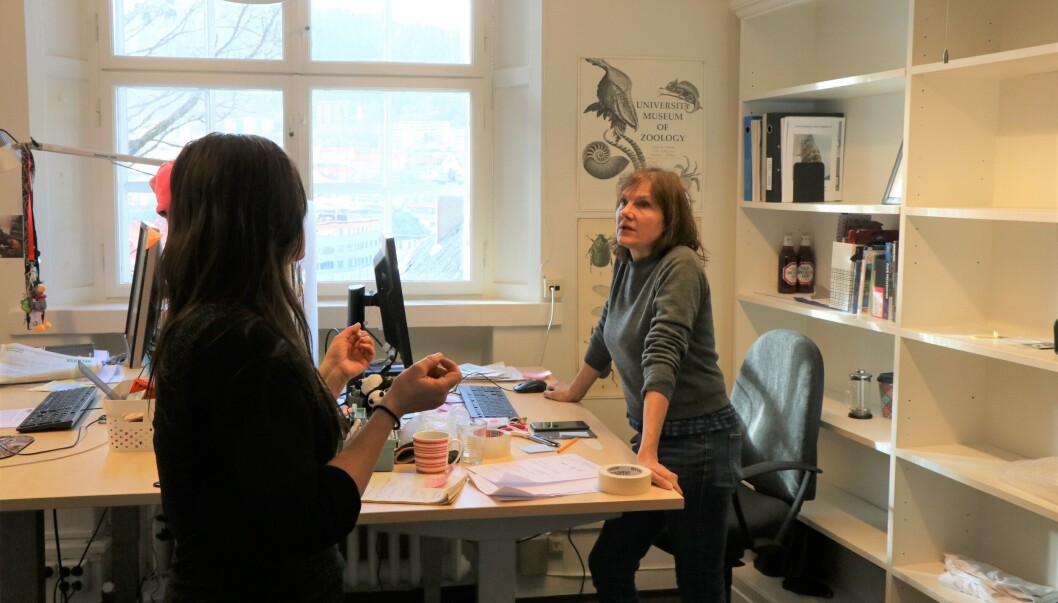 Marie-Louise Lorentzen (t.h.) og Christina Holmefjord diskuterer logistikkutfordringer. Marie-Louise Lorentzen (t.h.) og Christina Holmefjord diskuterer logistikkutfordringer.