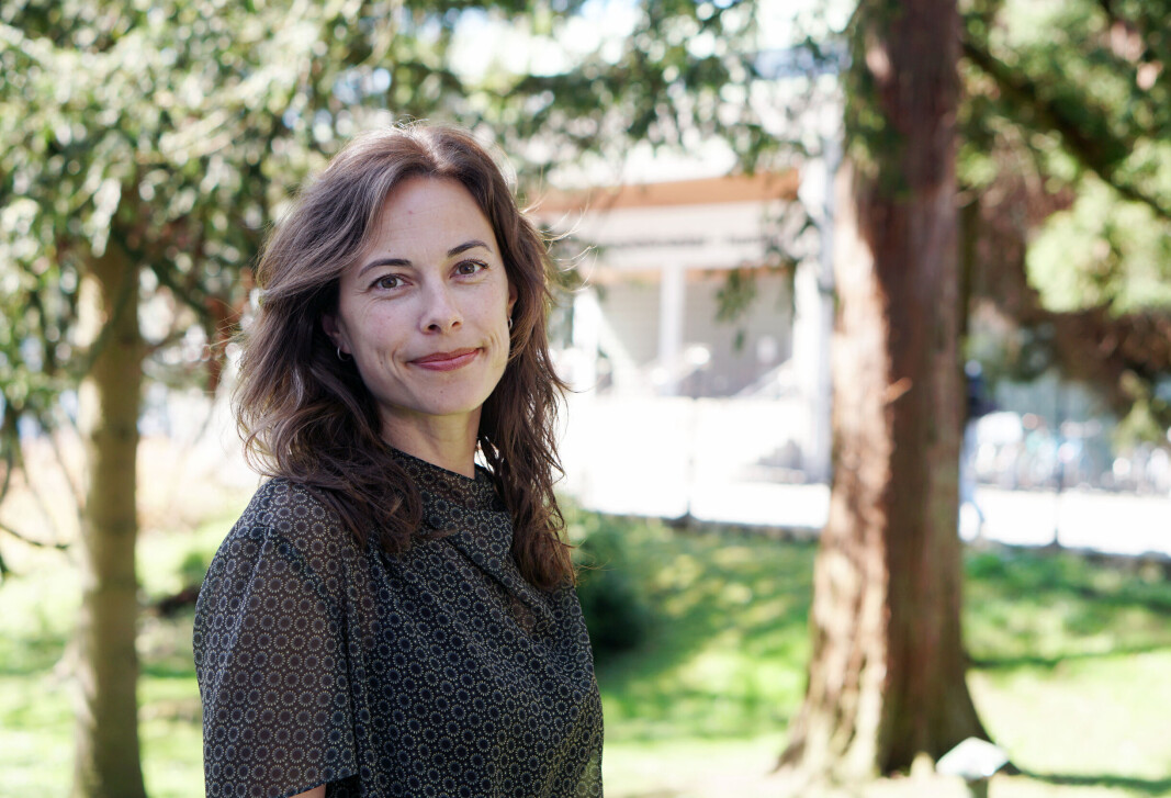 Seniorrådgiver Kathrine Brosvik Thorsen er ny programleder i UiB Tjenesteutvikling. Seniorrådgiver Kathrine Brosvik Thorsen er ny programleder i UiB Tjenesteutvikling.