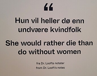 Utsnitt fra utstillingen "Skeive kulturår". Utsnitt fra utstillingen "Skeive kulturår".