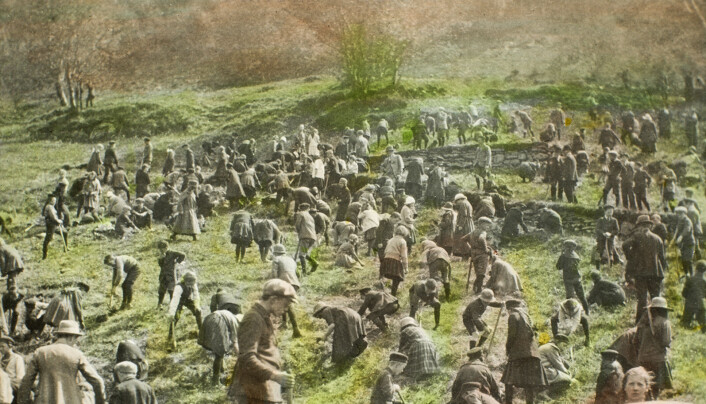 «Skogplanting. Dragefjellets skole, Bergen» Fotograf ukjent. BS-samlingen. Reprodusert av Atelier KK. Signatur: Ubb-bs-ok-19274. «Skogplanting. Dragefjellets skole, Bergen» Fotograf ukjent. BS-samlingen. Reprodusert av Atelier KK. Signatur: Ubb-bs-ok-19274.
