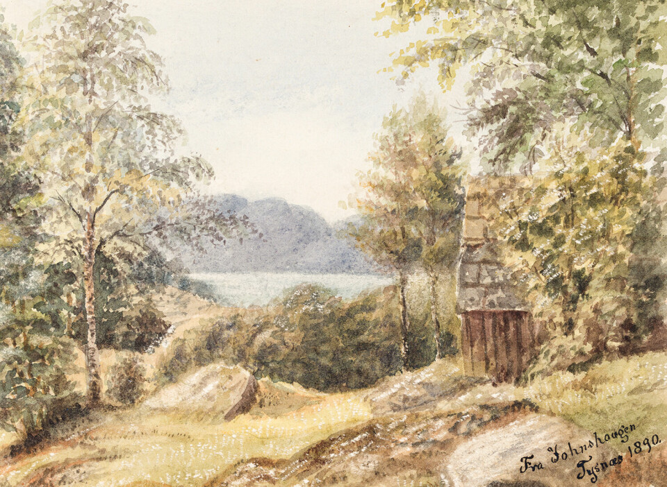 Fra Johnshaugen Tysnæs. 1890 - UBB-BS-FOL-02279-028