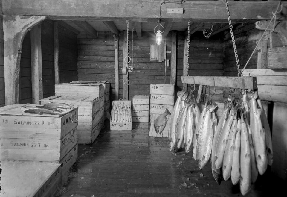 Fiskeforhandler, trolig fra Kvinge & Co sine lokaler i Gullskogården. 1931-1938. Foto: Atelier KK, Billedsamlingen, Universitetsbiblioteket. (ubb-kk-n-410-012)