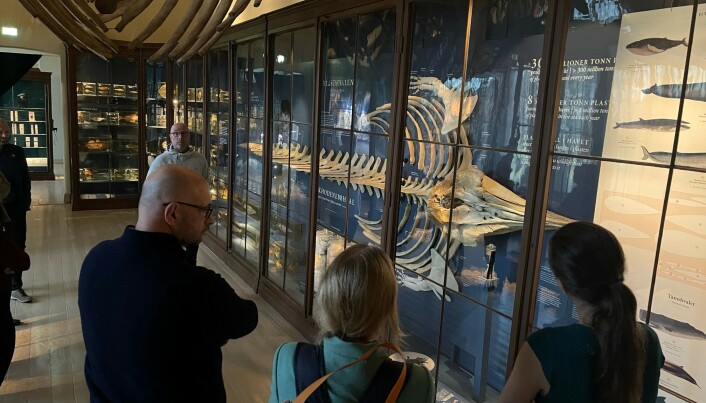 TV-produsent James Honeyborne fikk også en omvisning på Universitetsmuseet onsdag. Her står han ved Plasthvalen, som ble funnet med magen full av plast for snart seks år siden. TV-produsent James Honeyborne fikk også en omvisning på Universitetsmuseet onsdag. Her står han ved Plasthvalen, som ble funnet med magen full av plast for snart seks år siden.
