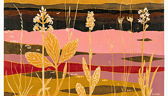 Myrplanter || / Marsh Plants || Myrplanter || / Marsh Plants ||