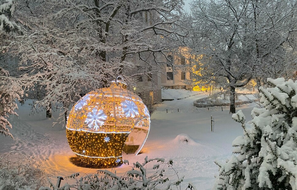 Julekula er Bergens nye selfie-spot, og som en liten førjulsgave fra UiB vil den fra i kveld lyse helt til klokken 21.