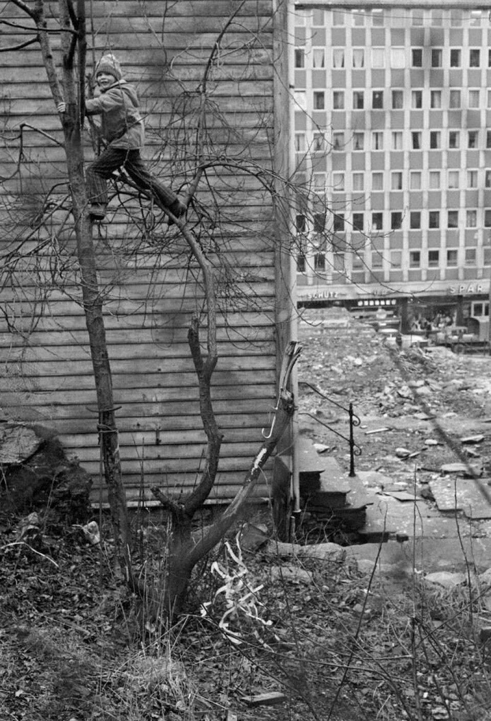 Gutt klatrer i tre, Ytre Markeveien 17, 1974. Foto: Solveig Greve, Billedsamlingen, Universitetsbiblioteket. (ubb-sg-004-017)