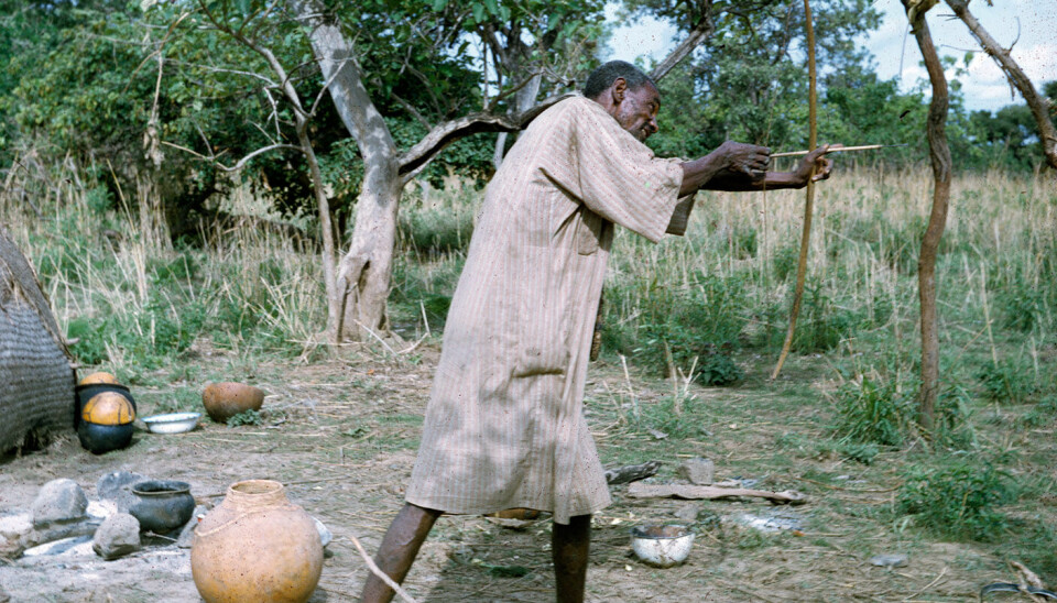 En Fulani nomade fra Weila stammen viser frem sine ferdigheter som bueskytter. Det vanligste våpenet hos fulaniene var pil og bue. Bildet er fra området i nærheten Nyertete i vest Darfur. Foto: Gunnar Haaland, 1965.