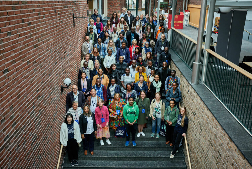 Mer enn 70 PhD-kandidater fra nesten 30 land er nå på plass i Bergen for å gjennomføre Bergen Summer Research School 2023.