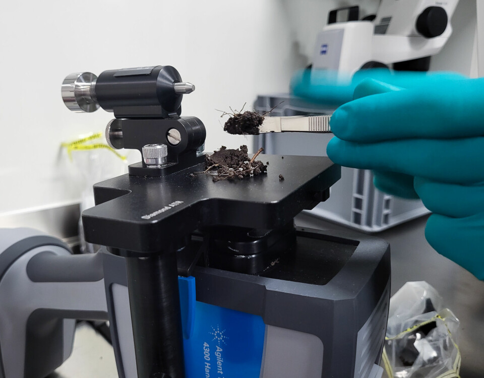En jordprøve tilføres et bærbart instrument som måler tilstedeværelsen av organiske forbindelser i prøven i det mobile EMBL-laboratoriumet på Espegrend biologiske feltstasjon i Bergen.