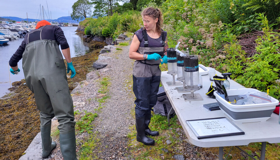 Roman Dubreucque (t.v.) og Joanna Zukowska, vitenskapelig medarbeider og midlertidig laboratorieleder for CBB-enheten, behandler sedimentkjerner som ble samlet inn i Gravdalsviken.