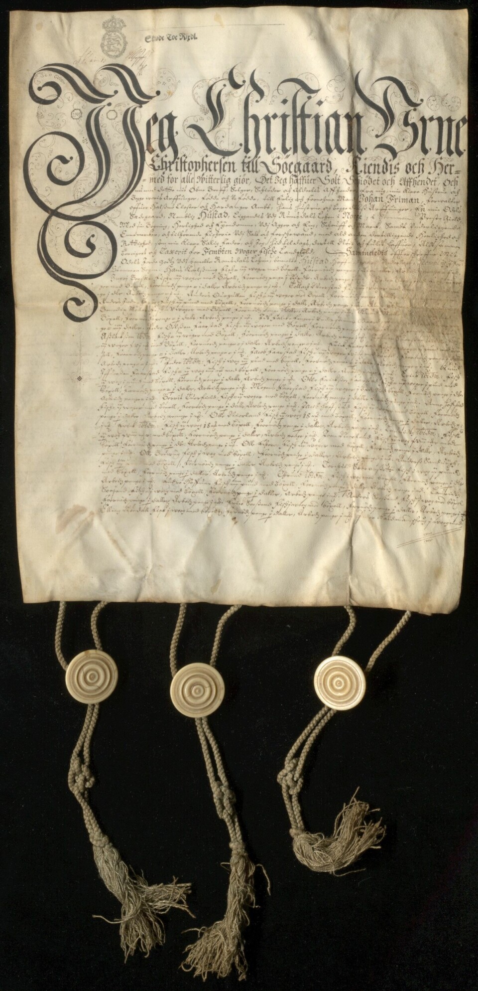 Diplom datert 1664, 11. juni. Kjøbenhavn.