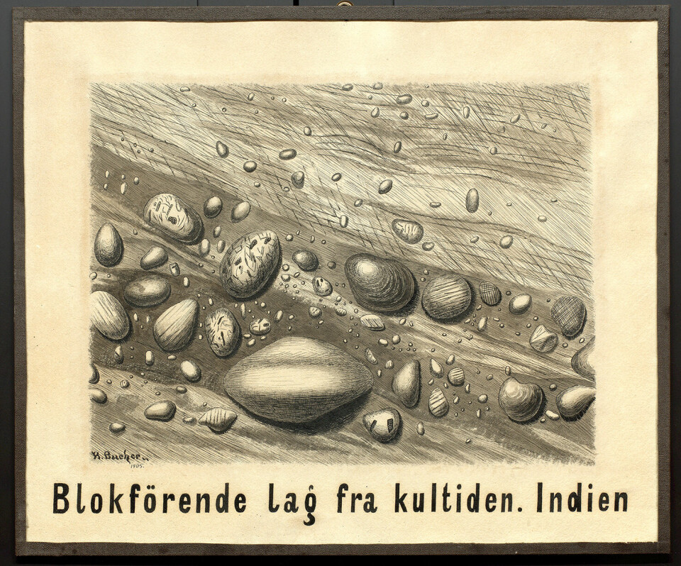 «Blokførende lag fra kultiden. Indien», teikna av Henrich Bucher jr. i 1905, for dei Geologiske samlingane ved Bergens Museum.