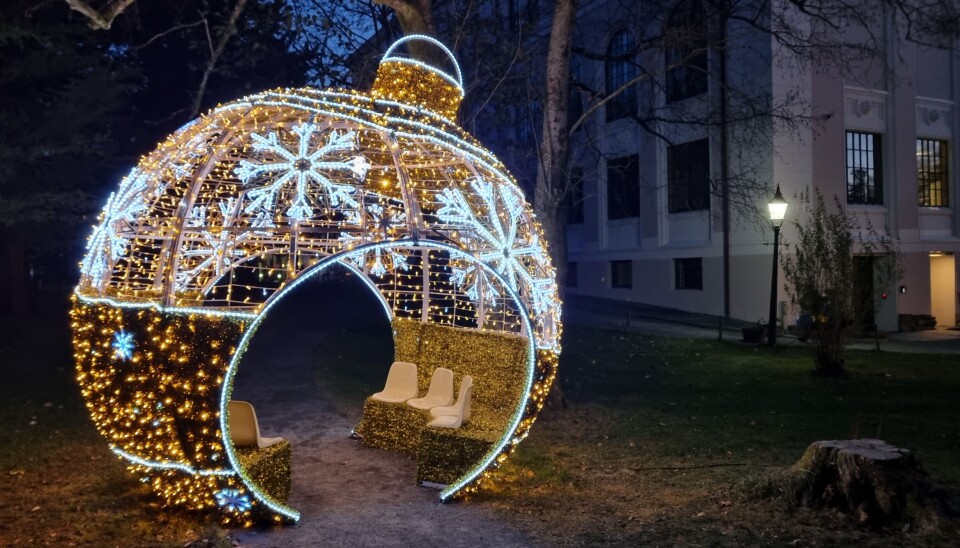 Julekulen i Muséhagen lyser opp i mørketiden.