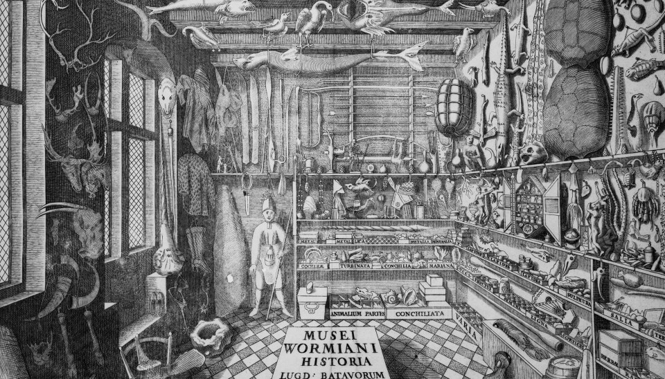 L0000128 Museum Wormiani Historia 1655Credit: Wellcome Library, London. Wellcome Imagesimages@wellcome.ac.ukhttp://wellcomeimages.orgNatural history museu of Ole Worm, Museum Wormiani HistoriaEngravingMuseum WormianumPublished: 1655Copyrighted work available under Creative Commons Attribution only licence CC BY 4.0 http://creativecommons.org/licenses/by/4.0/