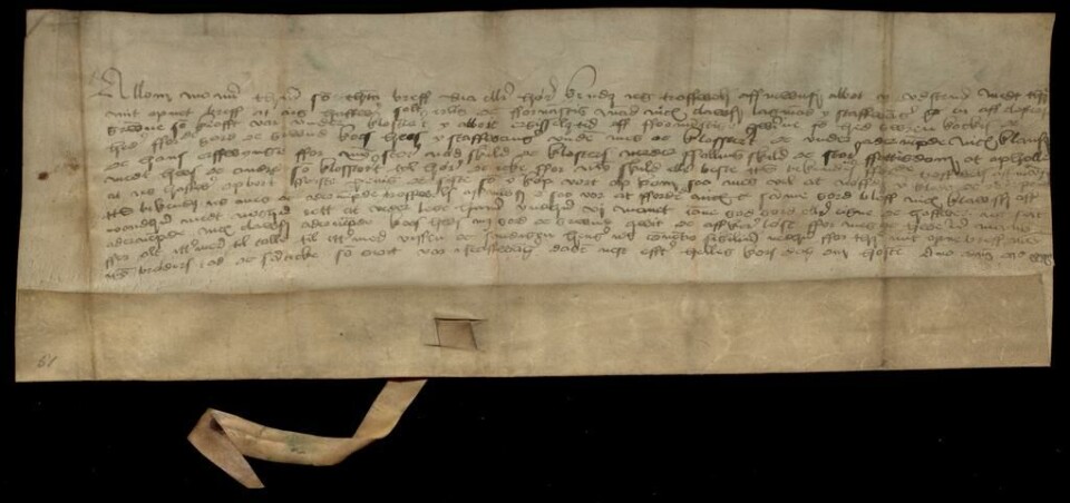 'Med mine brors råd og samtykke' - et 1500-tallets diplom fra Stavanger som kaster lys på klostervesenet i Landslovens epoke.