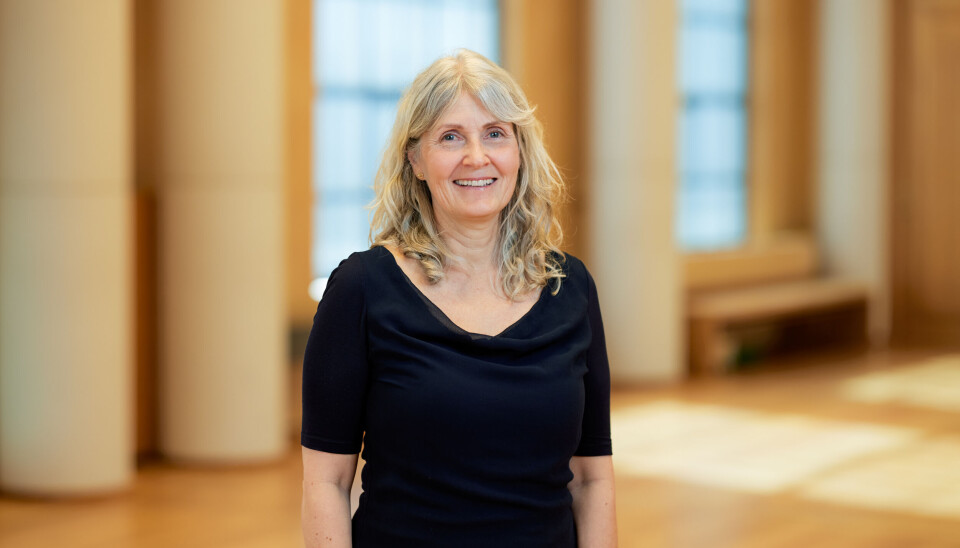 Benedicte Carlsen er viserektor for forskning og internasjonale relasjoner ved UiB