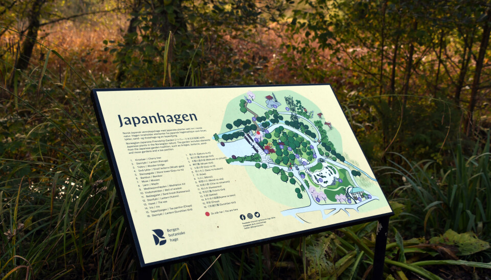 Kart over Japanhagen i Botanisk hage.