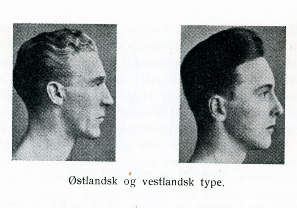 Ein typisk illustrasjon av raseteoriane til Nils Rustad, frå memoarboka hans, «Minner frå fjell og skog», utruleg nok utgitt så seint som i 1945.